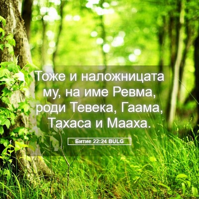 Picture 05 - Битие 22:24 BULG - Тоже и наложницата му, на - Bible Verse Picture