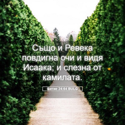 Picture 05 - Битие 24:64 BULG - Също и Ревека повдигна очи - Bible Verse Picture