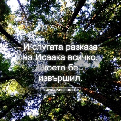 Picture 05 - Битие 24:66 BULG - И слугата разказа на - Bible Verse Picture