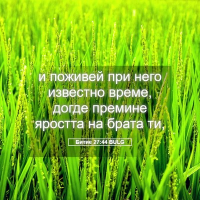 Picture 05 - Битие 27:44 BULG - и поживей при него - Bible Verse Picture
