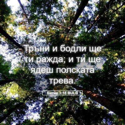 Picture 05 - Битие 3:18 BULG - Тръни и бодли ще ти ражда; и - Bible Verse Picture