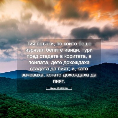 Picture 05 - Битие 30:38 BULG - Тия пръчки, по които беше - Bible Verse Picture