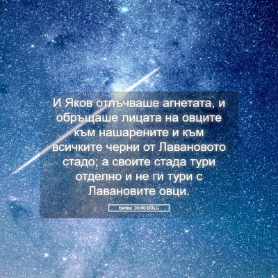 Picture 05 - Битие 30:40 BULG - И Яков отлъчваше агнетата, - Bible Verse Picture