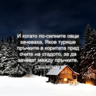 Picture 05 - Битие 30:41 BULG - И когато по-силните овци - Bible Verse Picture