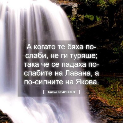 Picture 05 - Битие 30:42 BULG - А когато те бяха по-слаби, - Bible Verse Picture