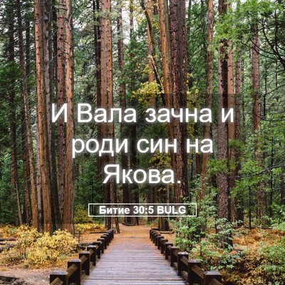 Picture 05 - Битие 30:5 BULG - И Вала зачна и роди син на - Bible Verse Picture