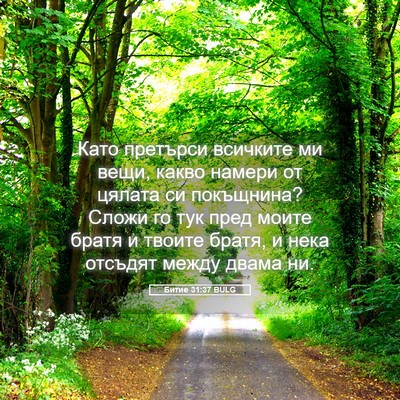Picture 05 - Битие 31:37 BULG - Като претърси всичките ми - Bible Verse Picture