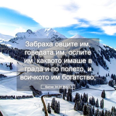 Picture 05 - Битие 34:28 BULG - Забраха овците им, - Bible Verse Picture
