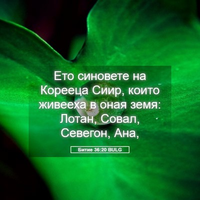 Picture 05 - Битие 36:20 BULG - Ето синовете на Корееца - Bible Verse Picture