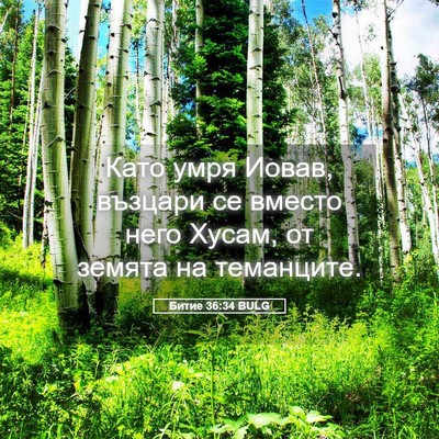 Picture 05 - Битие 36:34 BULG - Като умря Иовав, възцари се - Bible Verse Picture