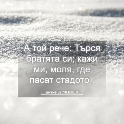 Picture 05 - Битие 37:16 BULG - А той рече: Търся братята - Bible Verse Picture