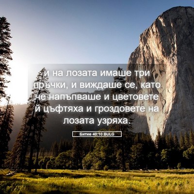 Picture 05 - Битие 40:10 BULG - и на лозата имаше три - Bible Verse Picture