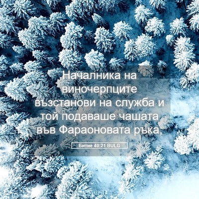 Picture 05 - Битие 40:21 BULG - Началника на виночерпците - Bible Verse Picture