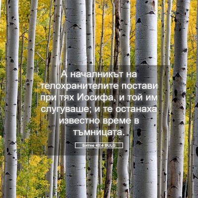Picture 05 - Битие 40:4 BULG - А началникът на - Bible Verse Picture