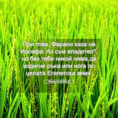 Picture 05 - Битие 41:44 BULG - При това, Фараон каза на - Bible Verse Picture