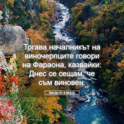 Picture 05 - Битие 41:9 BULG - Тогава началникът на - Bible Verse Picture
