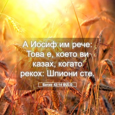 Picture 05 - Битие 42:14 BULG - А Иосиф им рече: Това е, - Bible Verse Picture