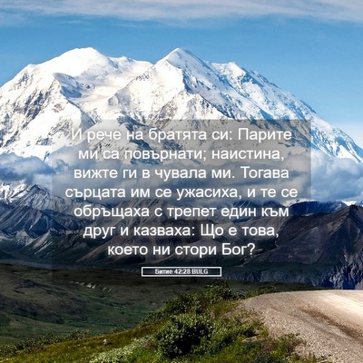 Picture 05 - Битие 42:28 BULG - И рече на братята си: - Bible Verse Picture