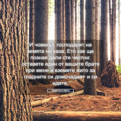 Picture 05 - Битие 42:33 BULG - И човекът, господарят на - Bible Verse Picture