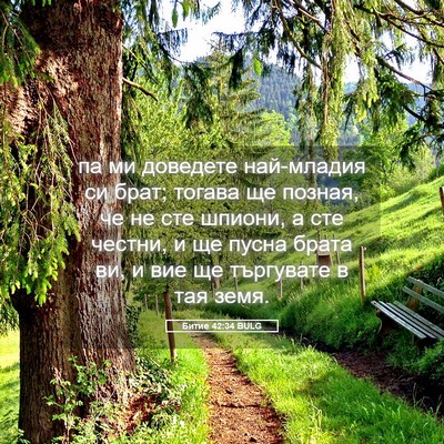 Picture 05 - Битие 42:34 BULG - па ми доведете най-младия - Bible Verse Picture