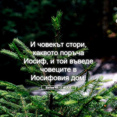 Picture 05 - Битие 43:17 BULG - И човекът стори, каквото - Bible Verse Picture