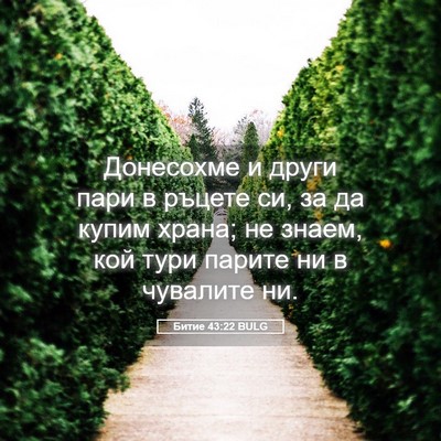 Picture 05 - Битие 43:22 BULG - Донесохме и други пари в - Bible Verse Picture