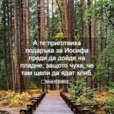 Picture 05 - Битие 43:25 BULG - А те приготвиха подаръка - Bible Verse Picture