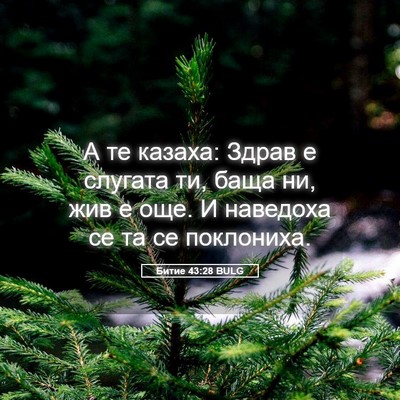 Picture 05 - Битие 43:28 BULG - А те казаха: Здрав е - Bible Verse Picture