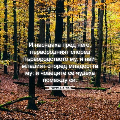 Picture 05 - Битие 43:33 BULG - И насядаха пред него, - Bible Verse Picture
