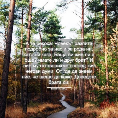 Picture 05 - Битие 43:7 BULG - А те рекоха: Човекът - Bible Verse Picture