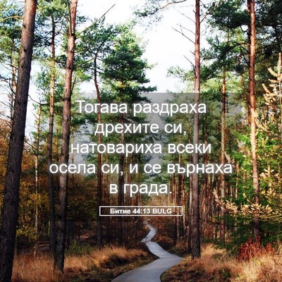 Picture 05 - Битие 44:13 BULG - Тогава раздраха дрехите - Bible Verse Picture