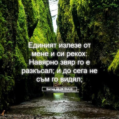 Picture 05 - Битие 44:28 BULG - Единият излезе от мене и си - Bible Verse Picture
