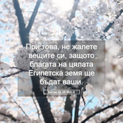 Picture 05 - Битие 45:20 BULG - При това, не жалете вещите - Bible Verse Picture