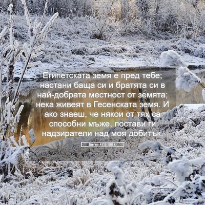 Picture 05 - Битие 47:6 BULG - Египетската земя е пред - Bible Verse Picture