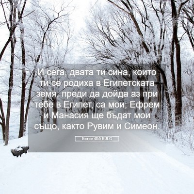 Picture 05 - Битие 48:5 BULG - И сега, двата ти сина, които - Bible Verse Picture