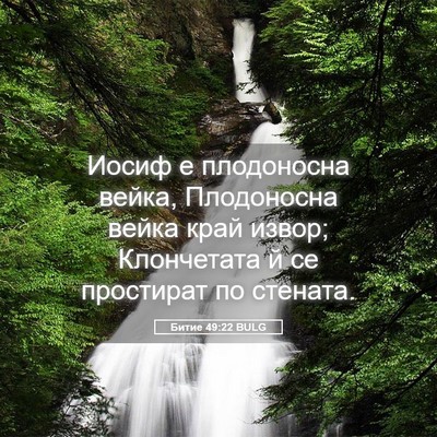 Picture 05 - Битие 49:22 BULG - Иосиф е плодоносна вейка, - Bible Verse Picture