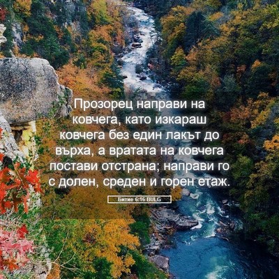 Picture 05 - Битие 6:16 BULG - Прозорец направи на - Bible Verse Picture