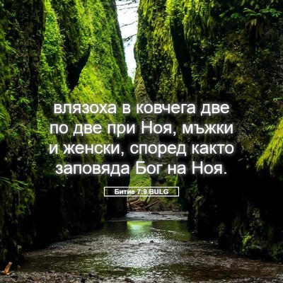 Picture 05 - Битие 7:9 BULG - влязоха в ковчега две по - Bible Verse Picture