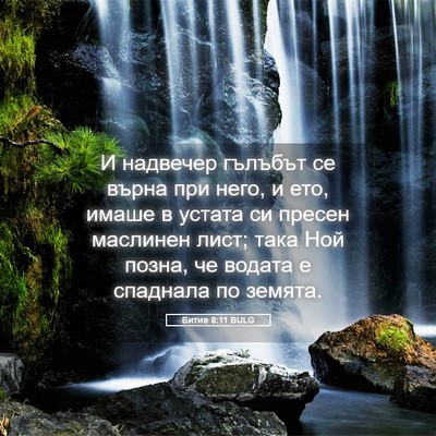 Picture 05 - Битие 8:11 BULG - И надвечер гълъбът се - Bible Verse Picture