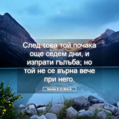 Picture 05 - Битие 8:12 BULG - След това той почака още - Bible Verse Picture