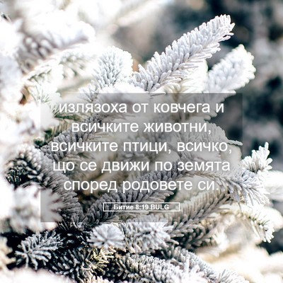 Picture 05 - Битие 8:19 BULG - излязоха от ковчега и - Bible Verse Picture