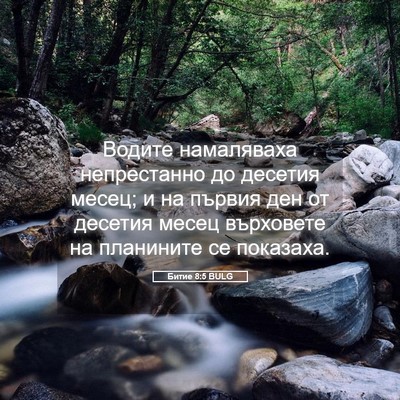 Picture 05 - Битие 8:5 BULG - Водите намаляваха - Bible Verse Picture