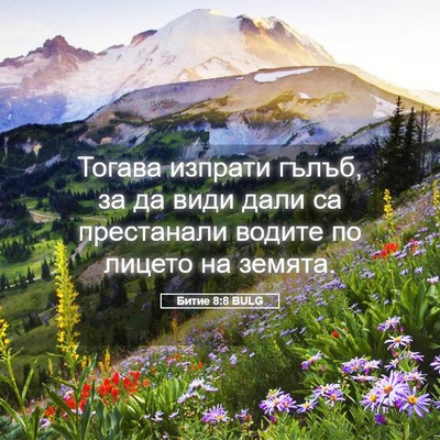Picture 05 - Битие 8:8 BULG - Тогава изпрати гълъб, за да - Bible Verse Picture