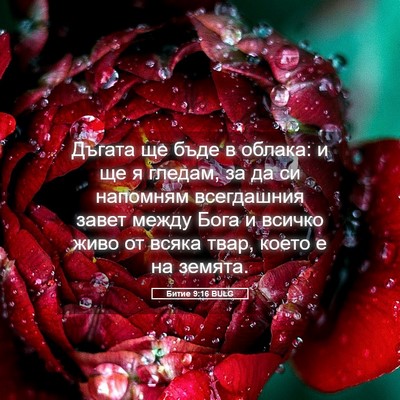 Picture 05 - Битие 9:16 BULG - Дъгата ще бъде в облака: и - Bible Verse Picture