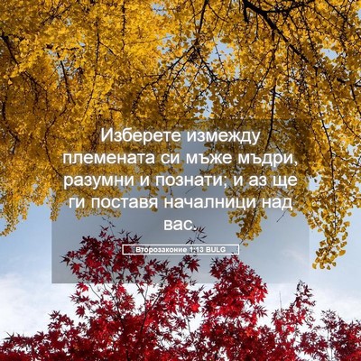 Picture 05 - Второзаконие 1:13 BULG - Изберете измежду - Bible Verse Picture