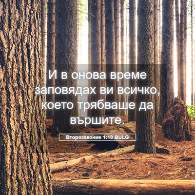 Picture 05 - Второзаконие 1:18 BULG - И в онова време заповядах - Bible Verse Picture