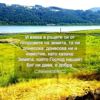 Picture 05 - Второзаконие 1:25 BULG - И взеха в ръцете си от - Bible Verse Picture