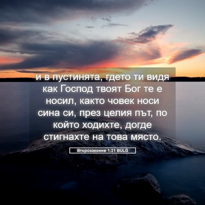 Picture 05 - Второзаконие 1:31 BULG - и в пустинята, гдето ти - Bible Verse Picture