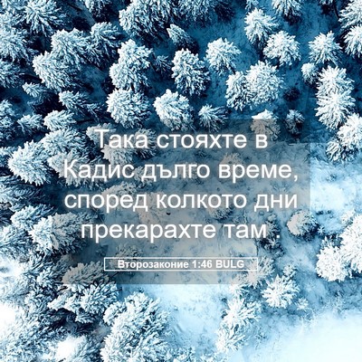 Picture 05 - Второзаконие 1:46 BULG - Така стояхте в Кадис дълго - Bible Verse Picture