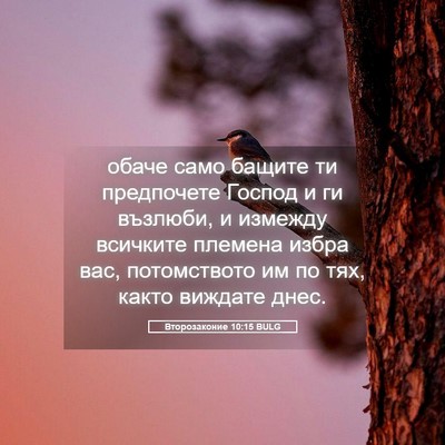 Picture 05 - Второзаконие 10:15 BULG - обаче само бащите ти - Bible Verse Picture